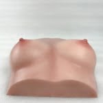 Realistic Torso Sex Toy Breasts – B59