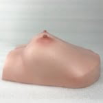 Realistic Torso Sex Toy Breasts – B59