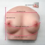 Realistic Torso Sex Toy Breasts – B59