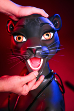 165cm Black Leopard Girl Fantasy Sex Doll – Velara2 165cm Black Leopard Girl Fantasy Sex Doll - Velara2 - Image 25