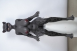 165cm Black Leopard Girl Fantasy Sex Doll – Velara2 165cm Black Leopard Girl Fantasy Sex Doll - Velara2 - Image 36