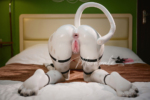 155cm Furry Leopard Girl Sex Doll – Lyora2 155cm Furry Leopard Girl Sex Doll - Lyora2 - Image 20
